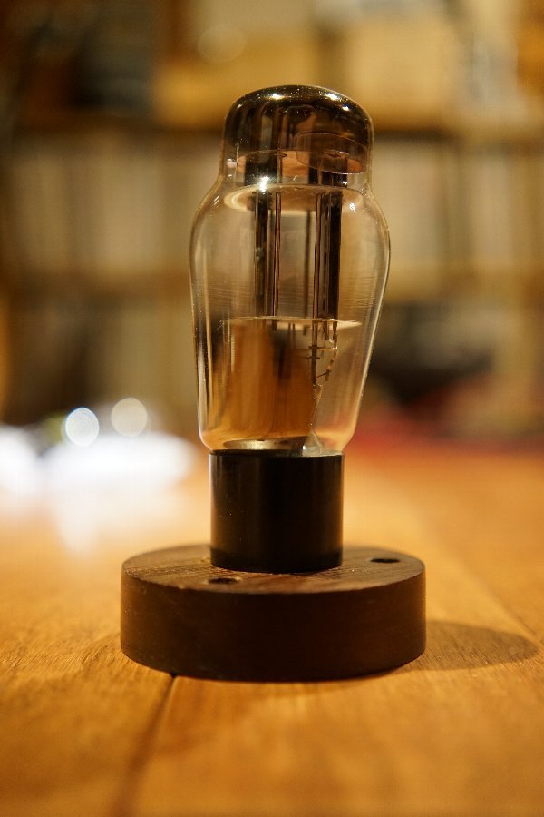 WE421Aと異母兄弟 : Studio Okamoto の 徒然日記