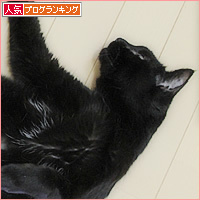 ヒナの副作用_a0389088_03180215.jpg