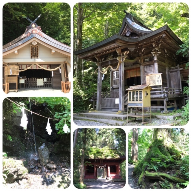 夏の戸隠神社へ_d0085018_19541190.jpg