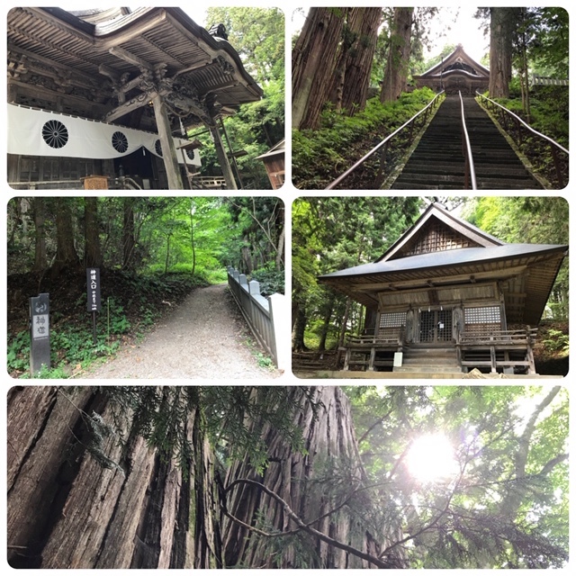 夏の戸隠神社へ_d0085018_19541908.jpg