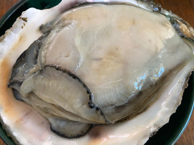 くさやを食べる会_e0208519_11383305.jpg