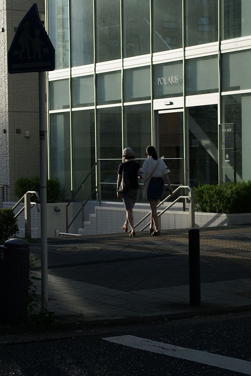 今日の一本!(Vario-Sonnar T* 40-80mm f3.5 AEG)<その3 今日の一本!(Vario-Sonnar T* 40-80mm f3.5 AEG)<その3