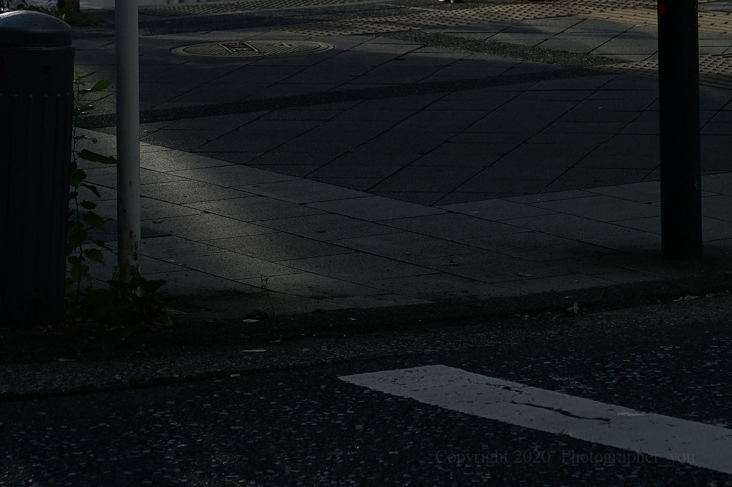 今日の一本!(Vario-Sonnar T* 40-80mm f3.5 AEG)<その3 今日の一本!(Vario-Sonnar T* 40-80mm f3.5 AEG)<その3