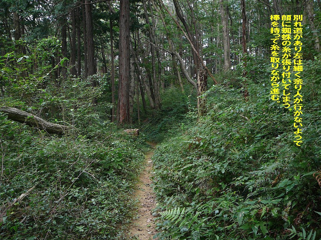 たまには近隣の鳥じゃない景色も！_b0404848_16214106.jpg