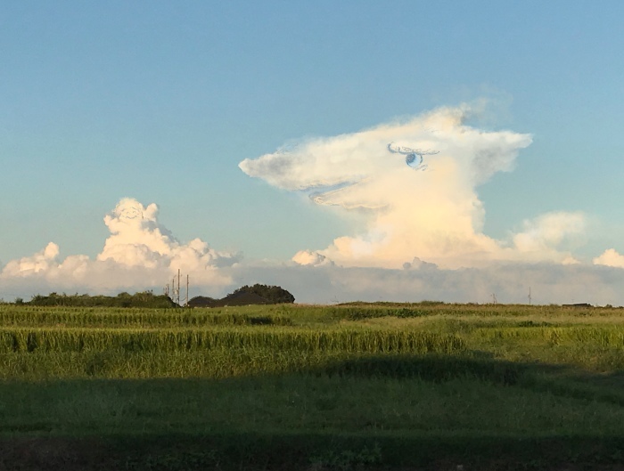 怪鳥ロプロスくん Fantasyart Photography 怪鳥ロプロスくん Fantasyart Photography