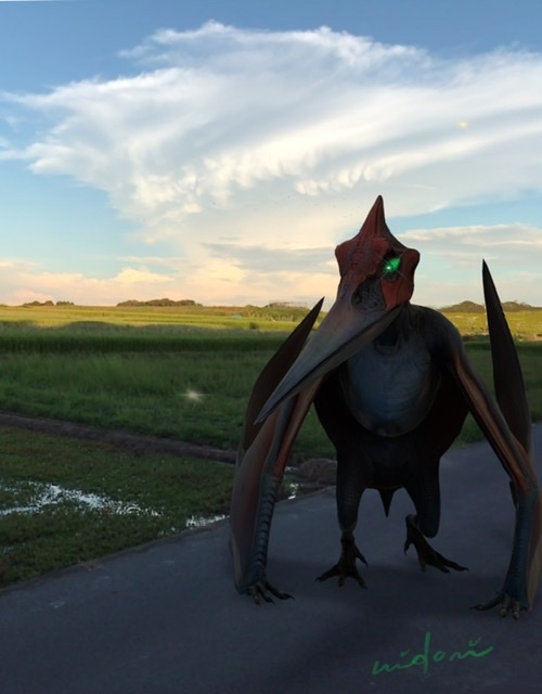 怪鳥ロプロスくん Fantasyart Photography 怪鳥ロプロスくん Fantasyart Photography