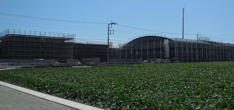 美乃浜学園 近況_e0246154_13401772.jpg