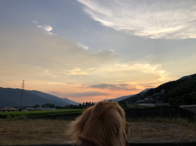 日曜日。_a0394574_00193033.jpeg