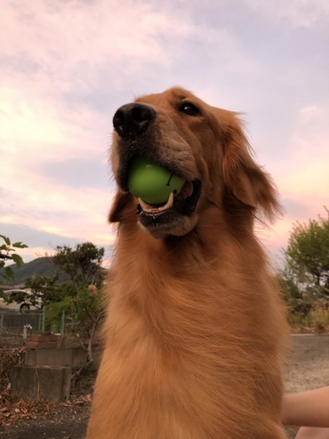 日曜日。_a0394574_00201013.jpeg