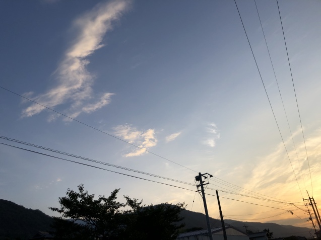 日曜日。_a0394574_07014841.jpeg