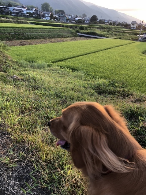 日曜日。_a0394574_07021713.jpeg