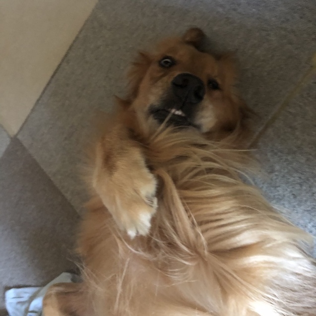 日曜日。_a0394574_09071551.jpeg