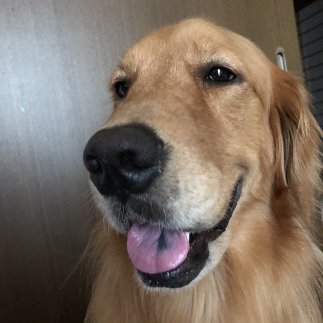 日曜日。_a0394574_09132097.jpeg