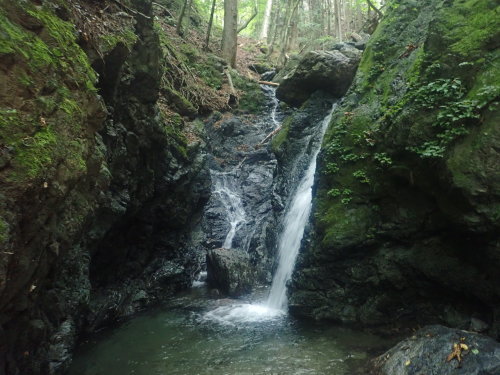 秩父・荒川流域　浦山川・冠岩沢_d0342206_16295732.jpg