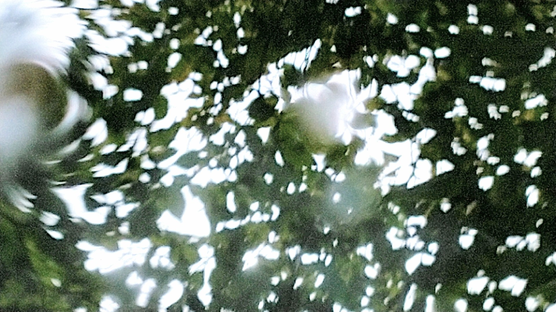 いま_f0155808_10255284.jpg
