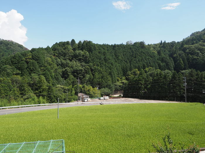 晴れのち曇りのち一時雨と雷_c0116915_00105637.jpg