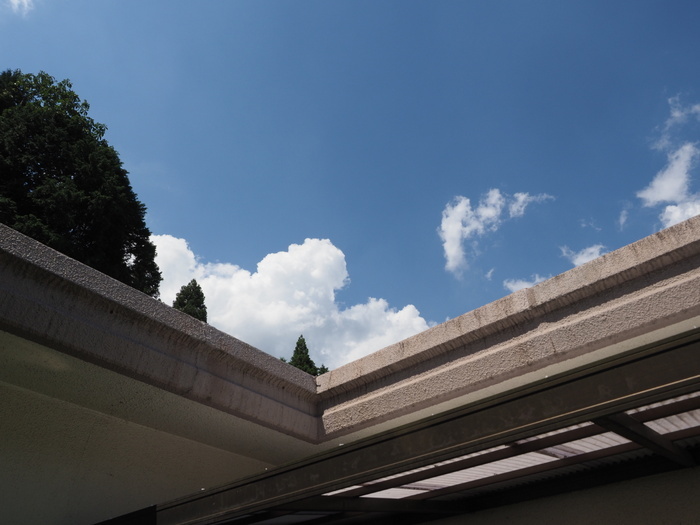 晴れのち曇りのち一時雨と雷_c0116915_00113297.jpg