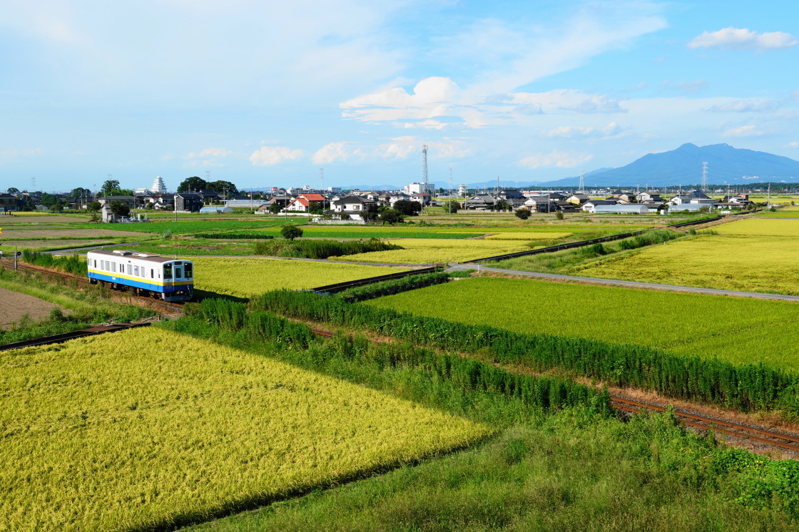 黄金色の田園風景 関東鉄道常総線 Hiro の鉄旅ブログ 黄金色の田園風景 関東鉄道常総線 Hiro の鉄旅ブログ