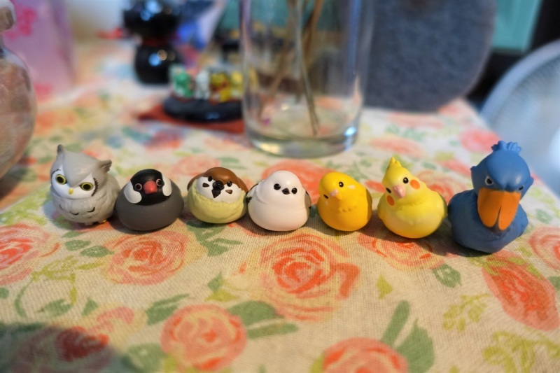 コードの鳥さん2 その後_d0382932_18270148.jpg