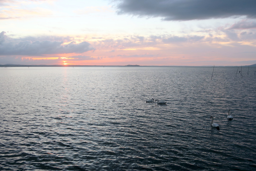 黒雲のした夕日燃え白鳥現る、トラジメーノ湖_f0234936_6231563.jpg