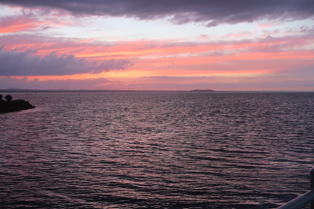 黒雲のした夕日燃え白鳥現る、トラジメーノ湖_f0234936_640576.jpg