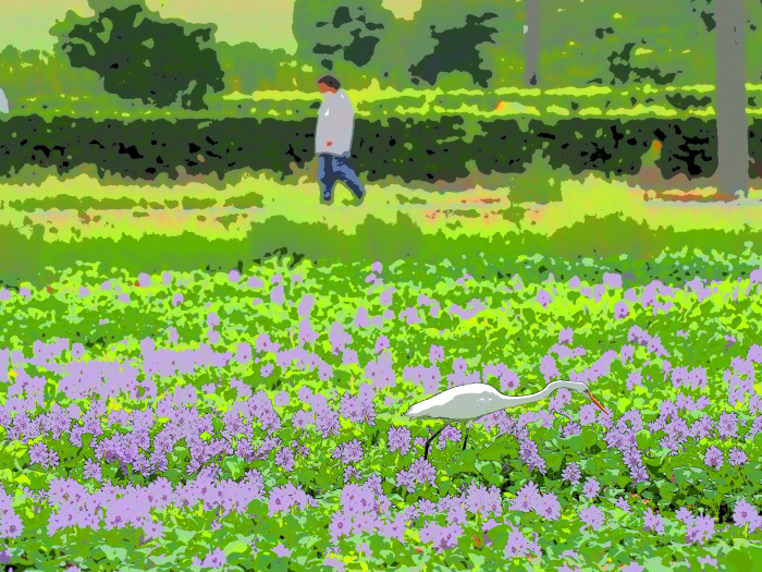 ツミ Ⅻ_d0290240_14420855.jpg