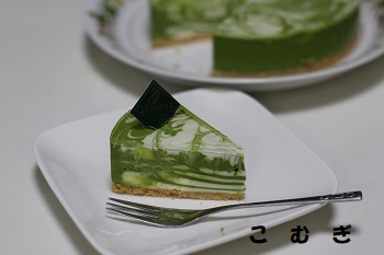 抹茶レアチーズケーキ パン お菓子教室 こ む ぎ