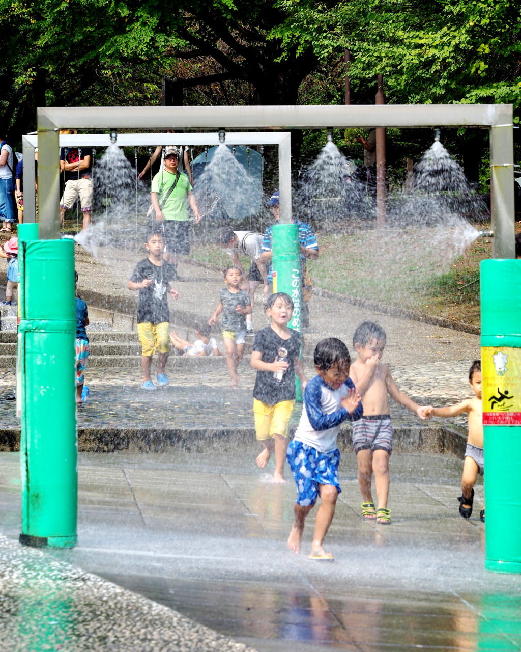 フラワーパークで 夏物秋物五目撮り_c0305565_17272744.jpg