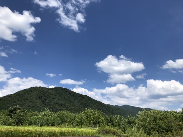 夏色。_a0394574_00011394.jpeg