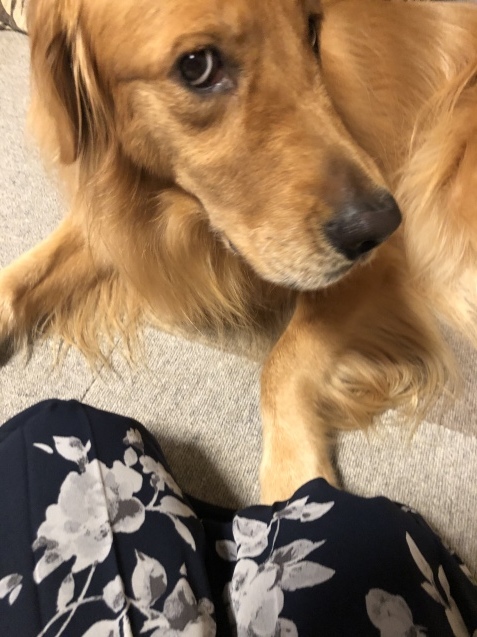 穏やかな心。_a0394574_23473411.jpeg