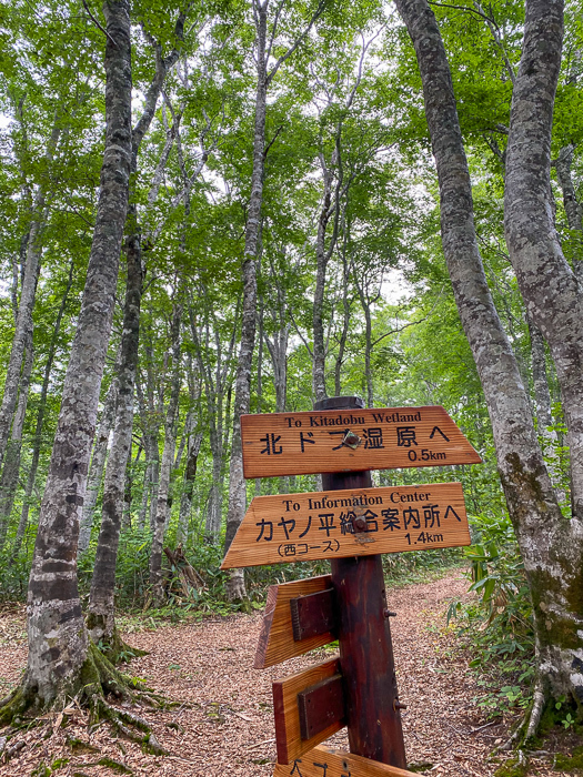 避暑地のハイク キャンプ 奥志賀カヤの平高原 荒野にて