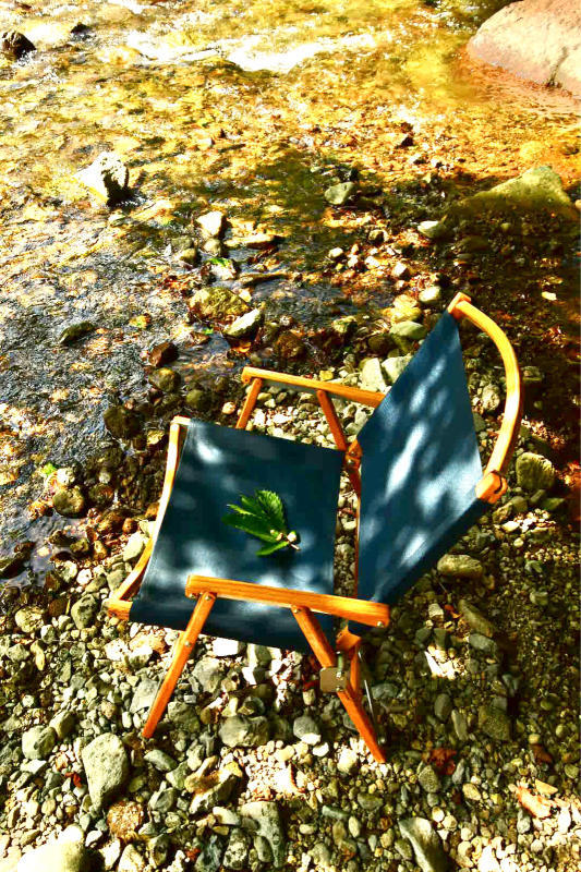 Summer is ending 2020_b0223512_13431052.jpg