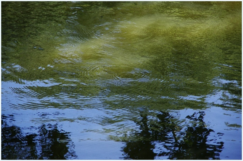 時の流れに・・・_c0352813_10192261.jpg