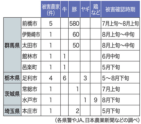 【豚泥棒蔓延する北関東】_b0009849_11020788.jpeg