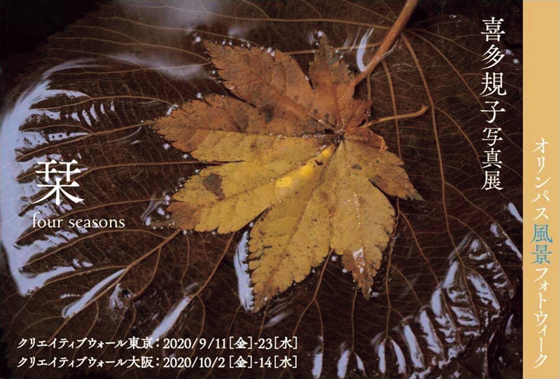 喜多規子「栞ーfour seasonsー」(東京・大阪)_c0142549_12373987.jpg