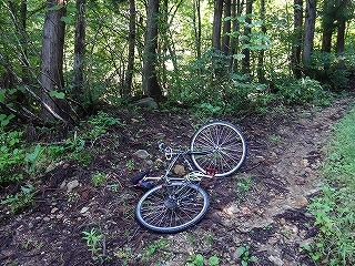 新生ポデローザ3号で林道ツーリングと釣り_e0064783_21143567.jpg