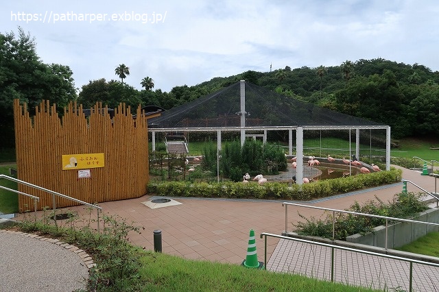 ２０２０年７月　とくしま動物園　その４ 魚入り氷を貰ったイワン_a0052986_732914.jpg