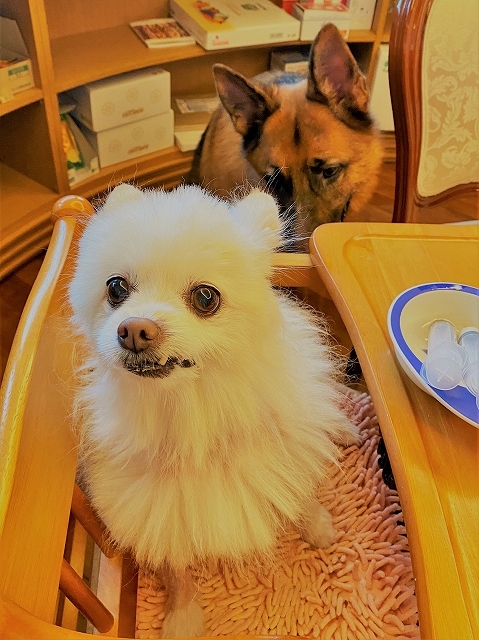 これから_d0360206_05472552.jpg