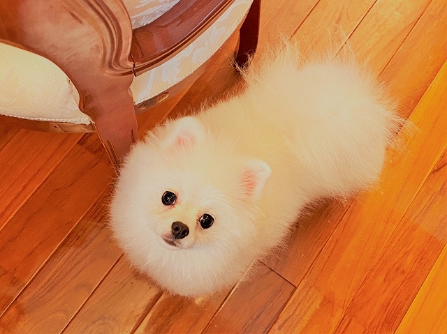これから_d0360206_05472959.jpg
