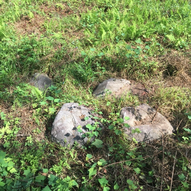 きょうも野良仕事 〜大石転がし〜_d0348118_13514164.jpeg