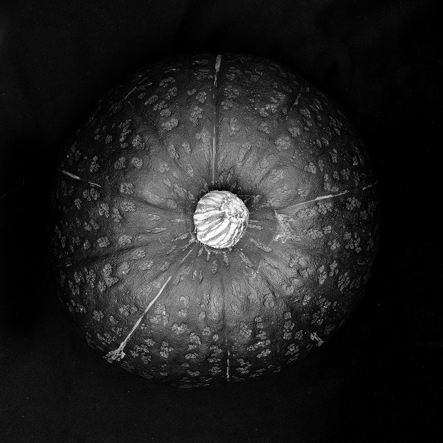 Planet Pumpkin_f0050534_09270754.jpg