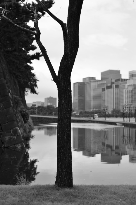 撮る官能 Nikon Df_f0050534_16205038.jpg