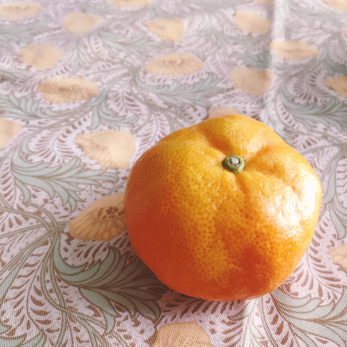 ありがとうございました★-4_e0042839_10011145.jpg