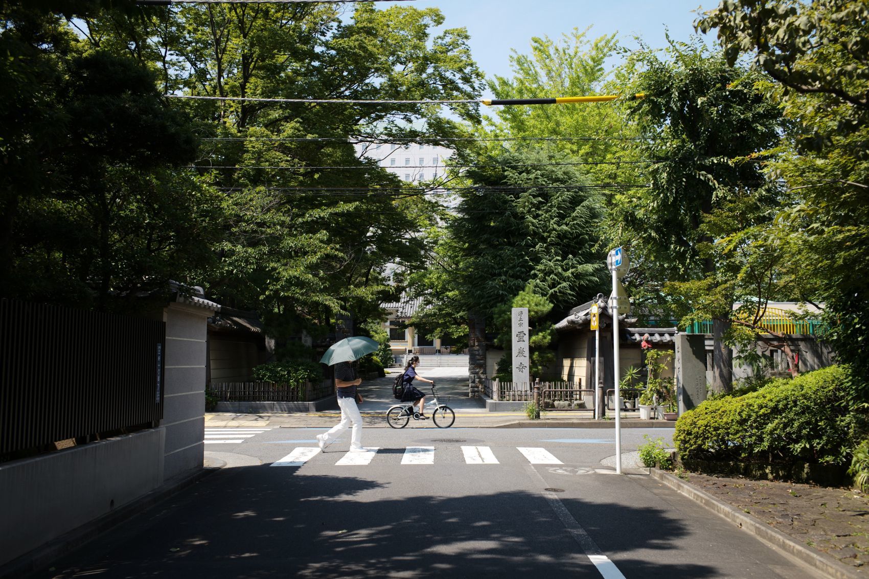 【史跡｜松平定信墓】　行き方、見学のしかた　（東京都 江東区 霊巌寺）_b0212342_08491771.jpg