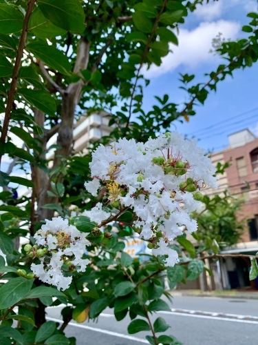 温度差_b0307951_22092046.jpg