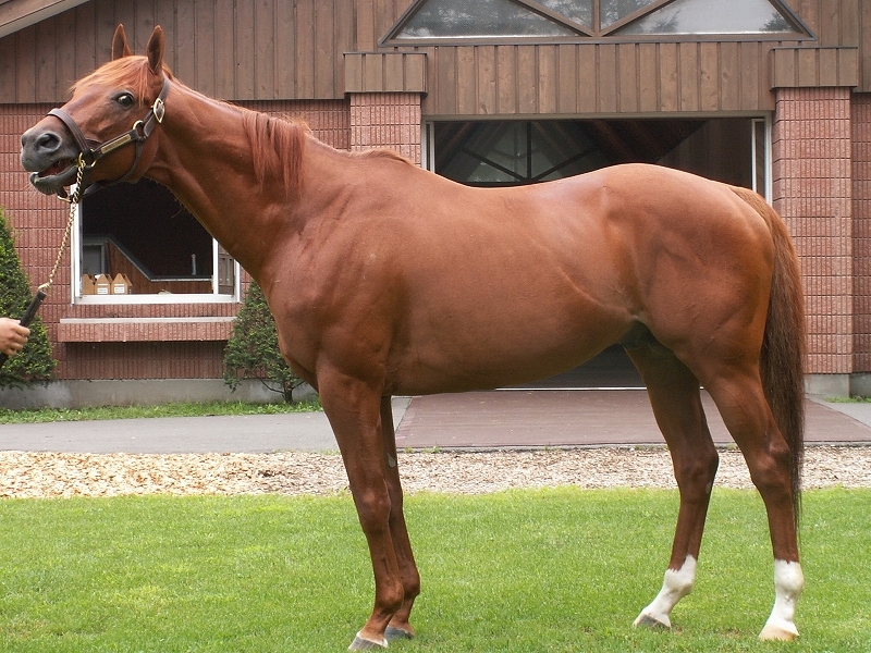 アグネスタキオン馬券・弥生賞 （日本競馬史上3歳のジャングル