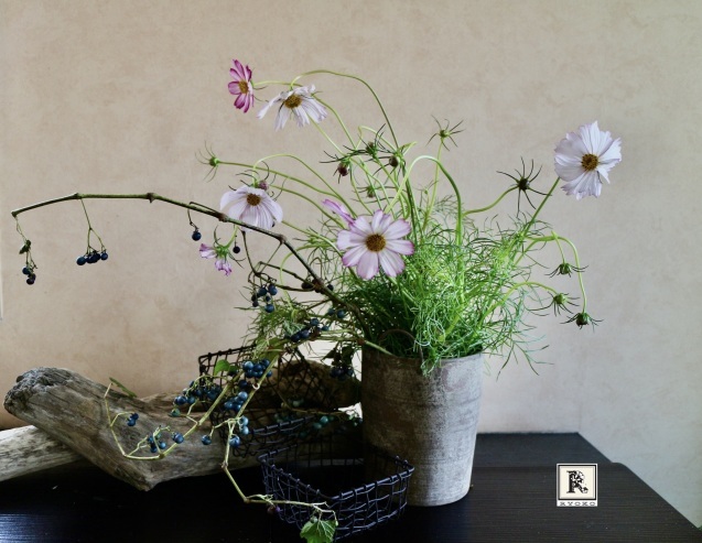 「お家にお花を飾る」9月 コスモスと野葡萄_c0128489_18032280.jpeg