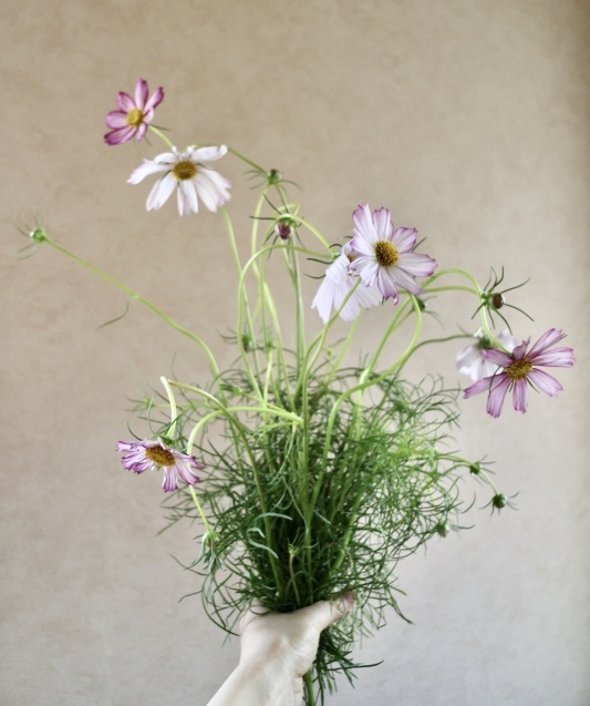 「お家にお花を飾る」9月 コスモスと野葡萄_c0128489_18070442.jpeg