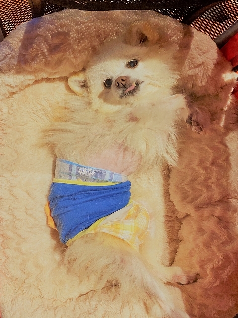 有事に備えて_d0360206_00031332.jpg