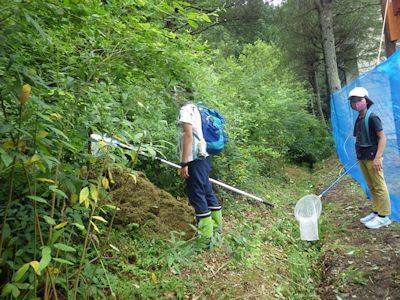 もりもり夏の生き物観察ともりもりろうきゅう（再）_b0126307_11205654.jpg